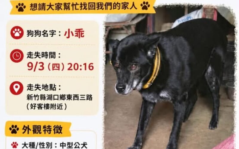 尋找狗狗~小乖 地點 新竹縣湖口鄉 Hukou , Hsinchu
